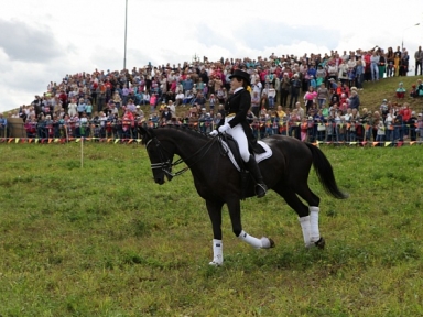 II Фестиваль конного туризма - Мероприятия в Костроме и области - Афиша Кострома