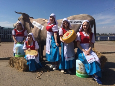 Фестиваль «Сыр-Бор» - Мероприятия в Костроме и области - Афиша Кострома