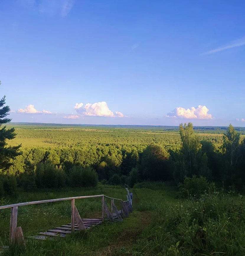 Журнал