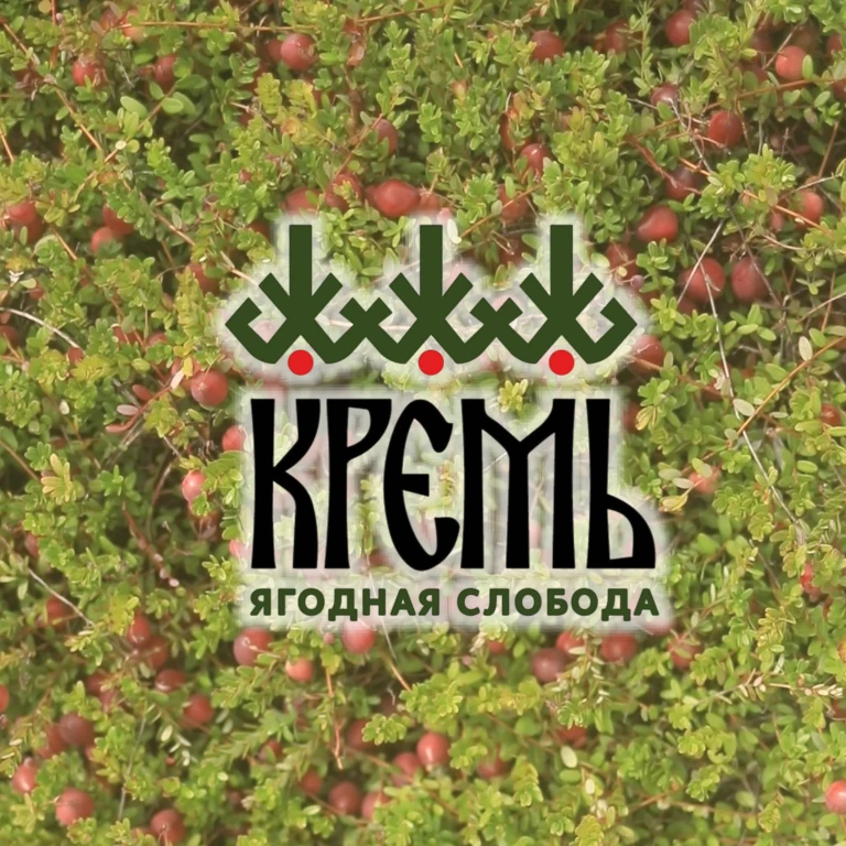 Гастрономический фестиваль "Клюквенный сок" 2024