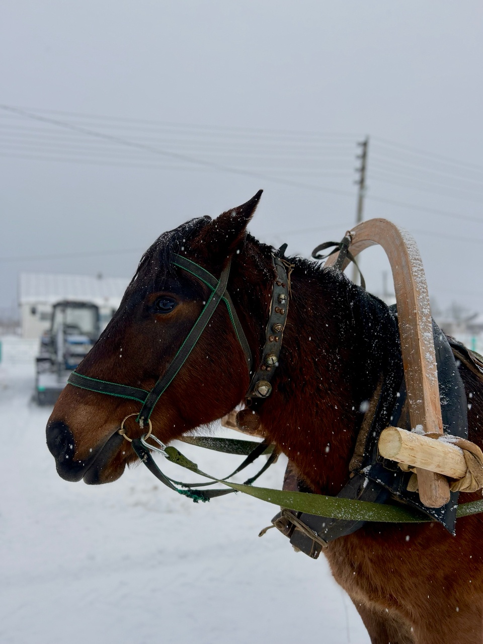 В Костромской области прошли съёмки передачи «Поедем, Поедим!» от  телеканала НТВ