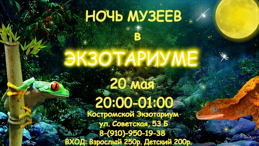 Ночь музеев-2023  в Костромском экзотариуме