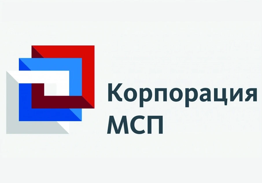 25 ноября 2020 года состоялся круглый стол «Поддержка субъектов МСП в сфере туризма»