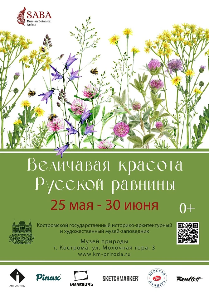 Выставка "Величавая красота Русской равнины"