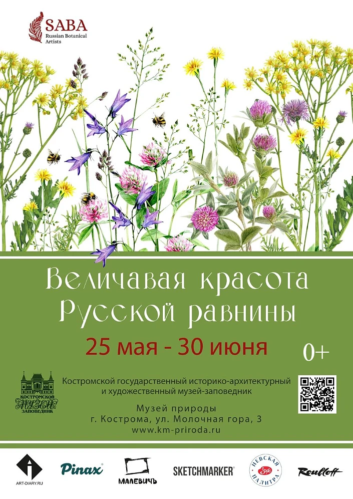 Выставка "Величавая красота Русской равнины"